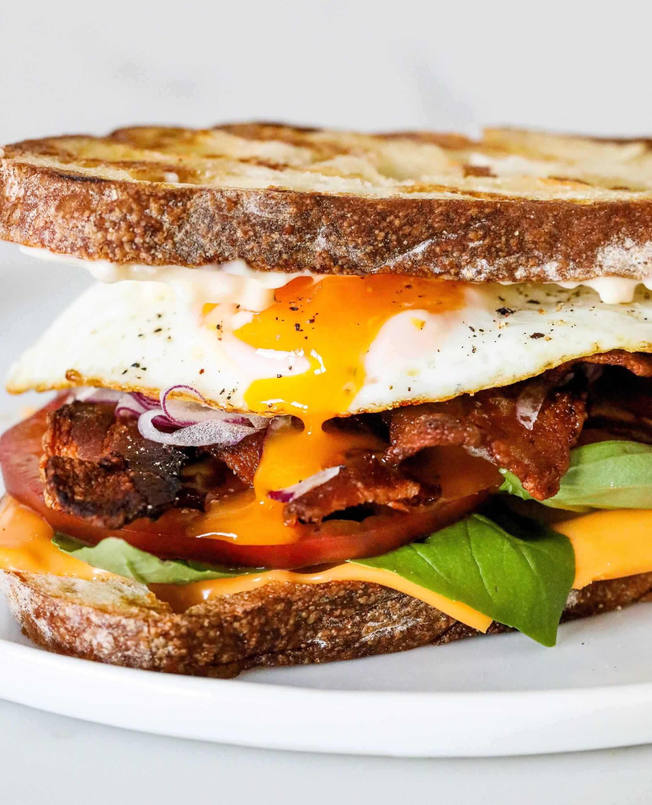 Fried Egg Breakfast Sandwich