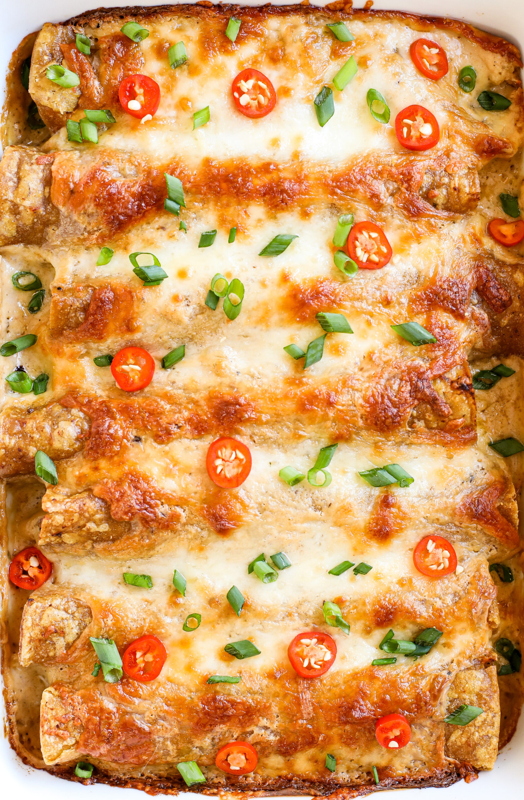 Jerk Chicken Enchiladas